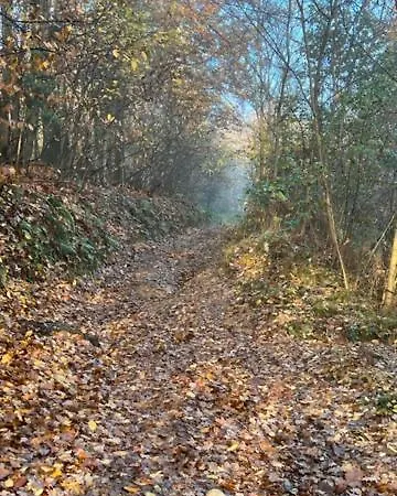 Maison Calme Et Typique Du Piemont *